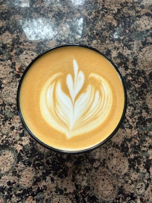 A latte with a tulip poured in the foam